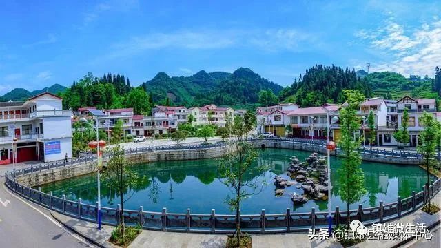 专题!镇雄县40多万贫困人口脱贫的成功实践