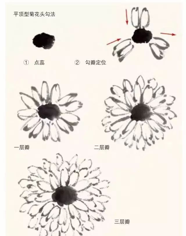 菊花品种虽然繁多,但在写意画中被归纳为两种花型,即平顶型菊花与攒顶