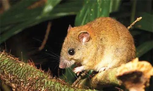 印度夫妻买下140000㎡荒地，倾家荡产就为了活命