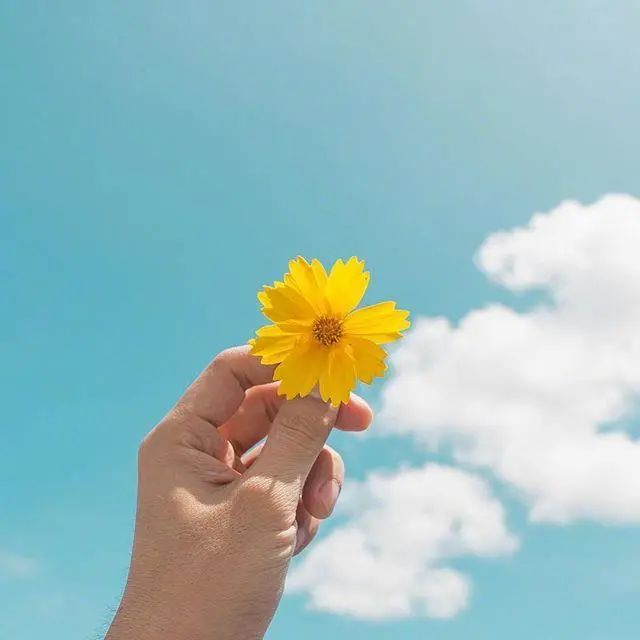 简短精致的早安语录,温暖阳光,百读不厌