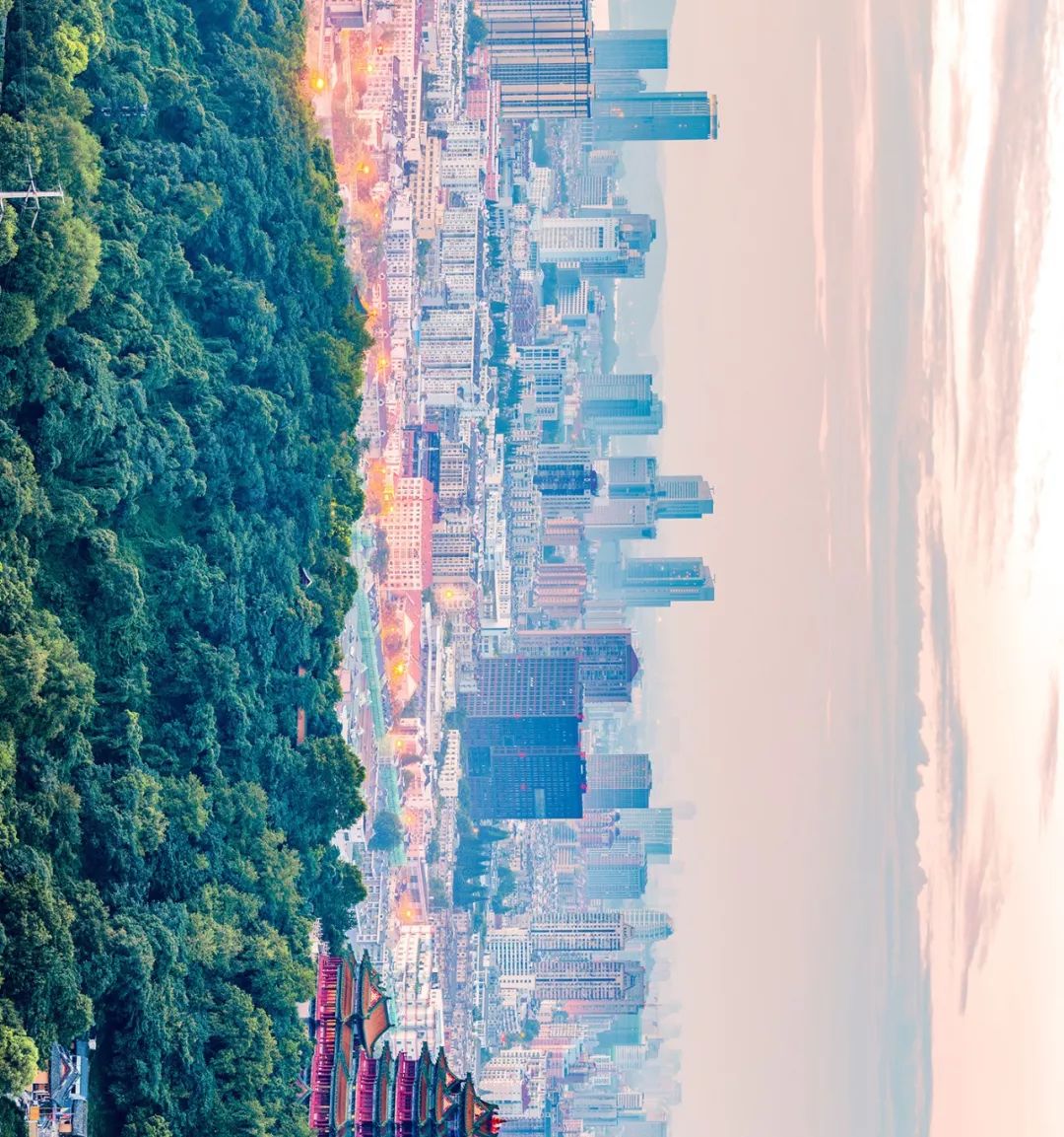 虎踞龙盘今胜昔 南京是中国古都里最鲜活的城市,没有之一.