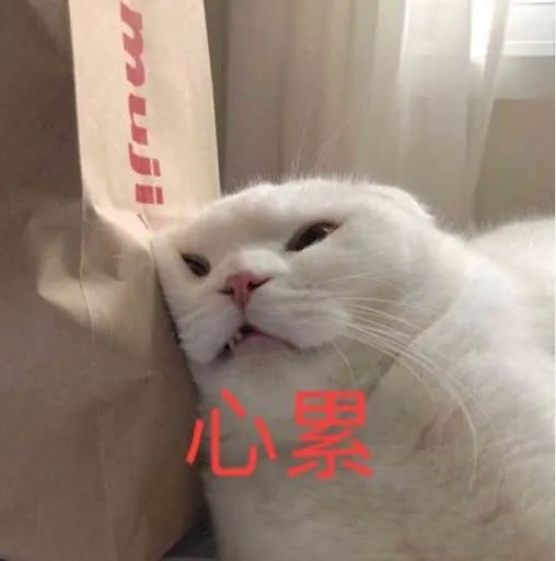 老板总说因疫情延迟复工，请问我还用继续捧臭脚吗