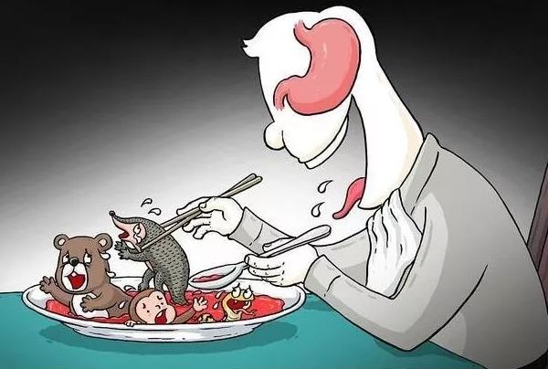 人类不能吃的十大野味排行蝙蝠第一最后一个不少人吃过法布施出去功德