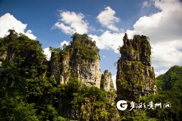 高山,森林,峡谷,瀑布……这就是玉宇仙境般的毕节油杉河