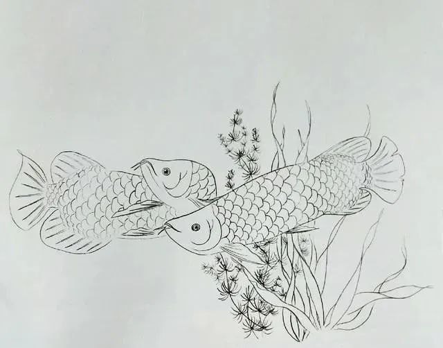 白描鱼画选页