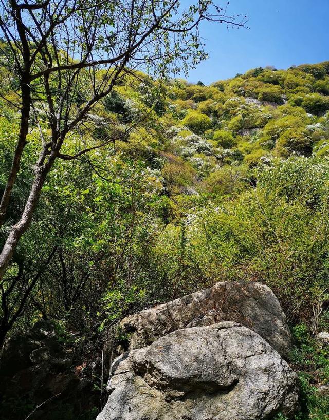 距离西安60公里景美人少门票免费的蓝田玉山蓝河风景区