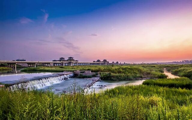 渭河湿地公园实景