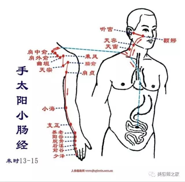 肾经  