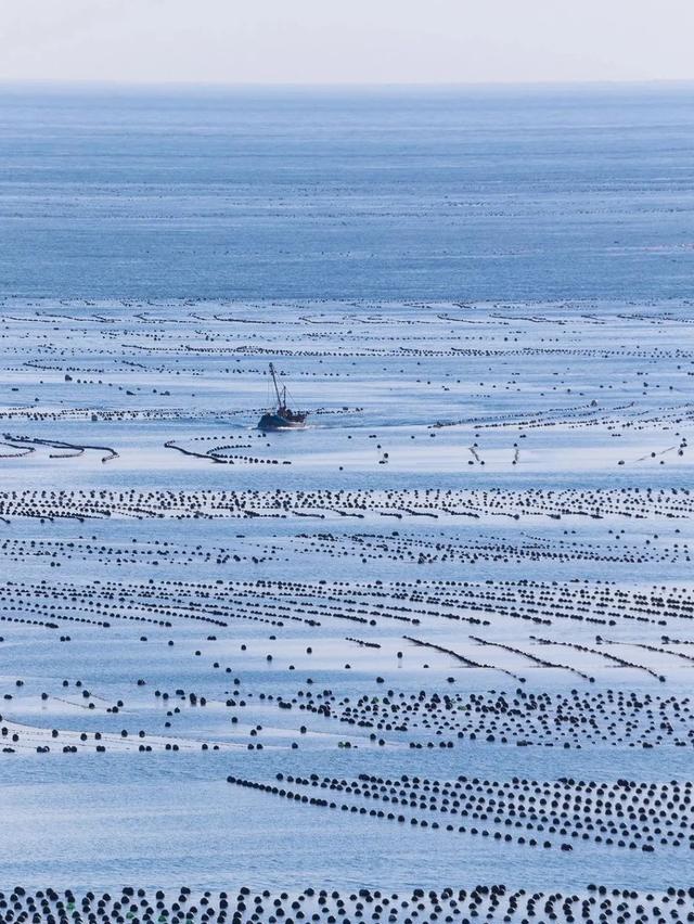 东北经济龙头大连，为什么满满的“山东范儿”？（最新发布）