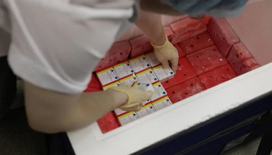 除了送口罩，国际社会还能怎样帮你抗疫｜大象公会