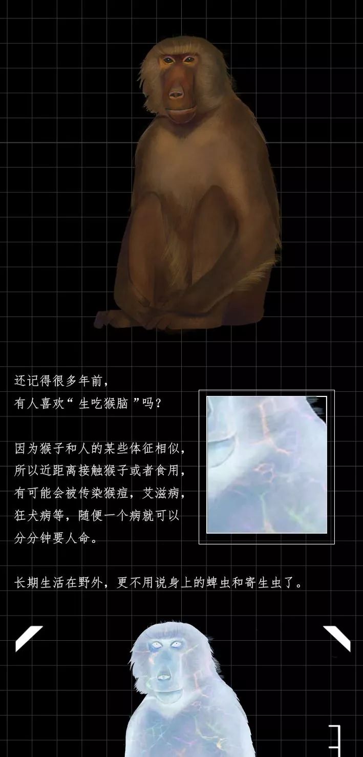 隐藏的「病毒携带者」曝光（赶紧举报）