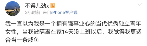 疫情之下在家办公，爆笑职场人窘态百出