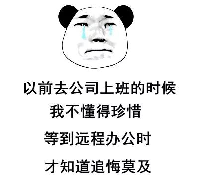 疫情之下在家办公，爆笑职场人窘态百出