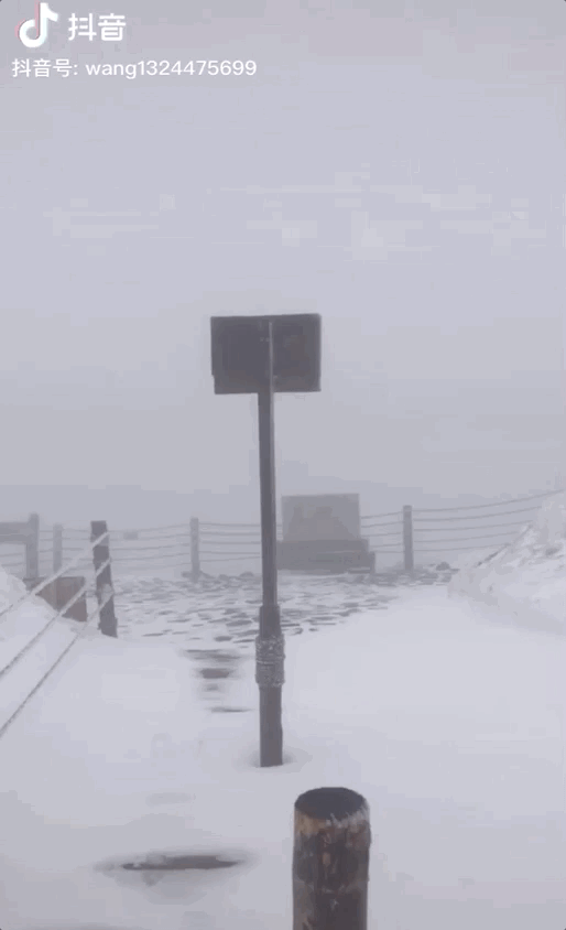514_844竖版 竖屏gif 动态图 动图