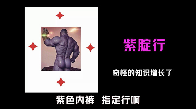 从紫腚行到膜拜猫,你根本不知道我为找工作付出了什么