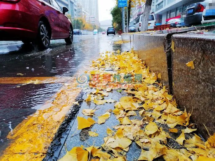 寒潮来了下雨打雷刮风降温抚顺入冬前奏