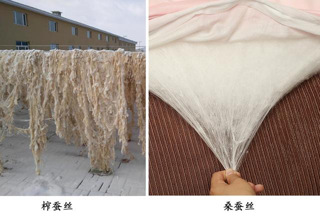 榨蚕丝和桑蚕丝,究竟哪个好?