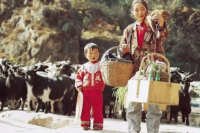 1985年的老照片:感慨时间流逝,那已经是35年前了