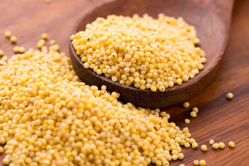 “我五谷不分。”“没关系，大家都分不清。”