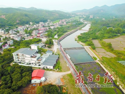惠东横江村壮观花海引游人贫困村变网红村