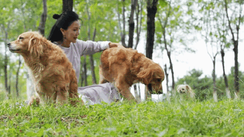 京郊女青年的抱团养老村