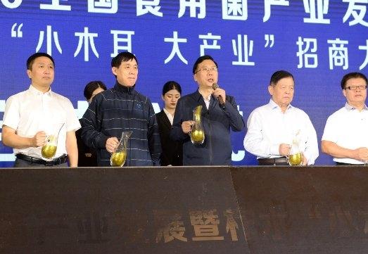 商洛市市委常委,常务副市长武文罡,中共商洛市委副书记李豫琦,陕西省