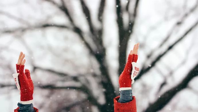 今年最强冷空气来袭上海周末或迎初雪
