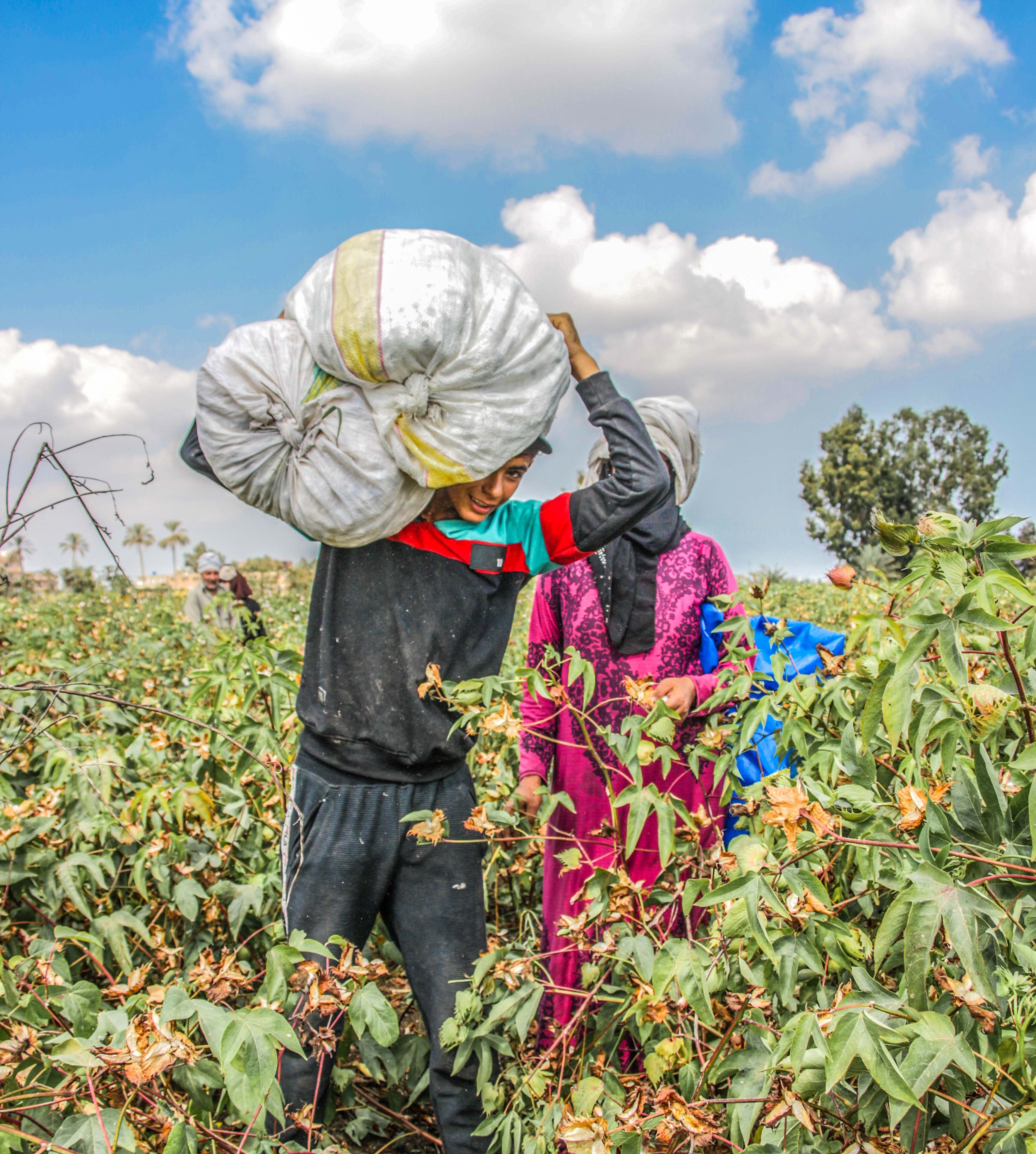 一座改变地缘政治的大坝，就快建成了|地球知识局