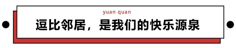 自从被禁足后整个小区的人都被“逼疯”了哈哈哈哈