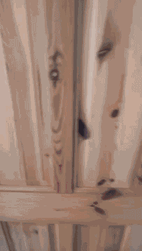 你永远叫不醒一个睡懒觉的人，除非他爸妈来了