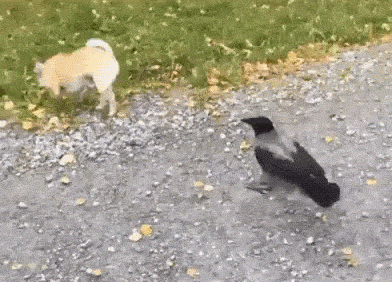 看完电影千万别翻评论，不然迟早被这些神点评笑死