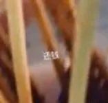 二十多岁因疫情失业的我，该如何开口找父母要钱