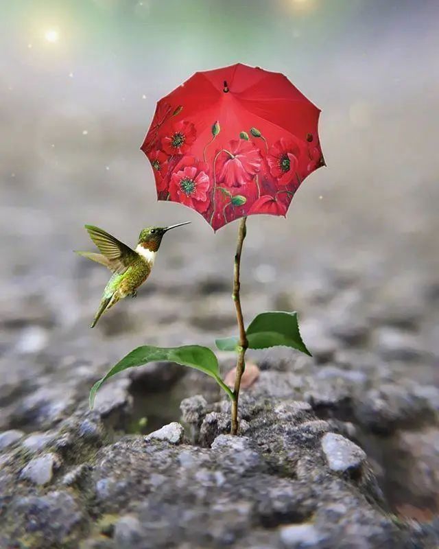 五月最美早安语录,简短精致,让人一见倾心_大风号