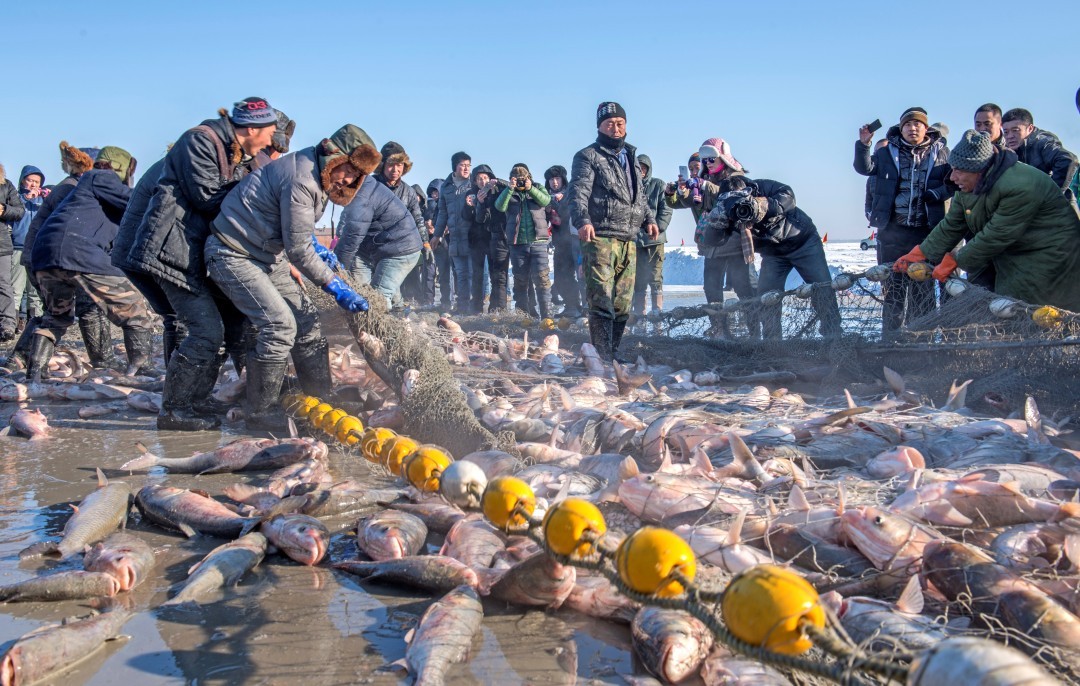 鲜卑人，从哪里来？ |　地球知识局