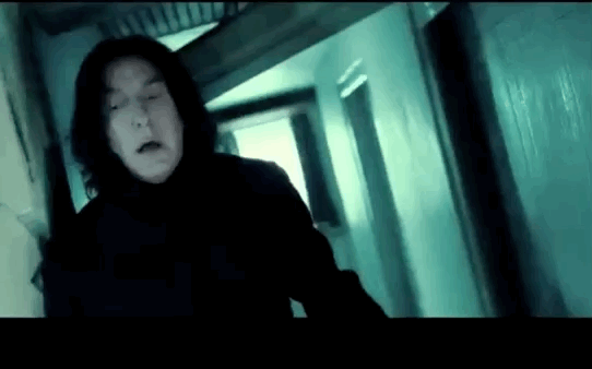 原来斯内普做的一切都是为了保护哈利, 为了保护他爱了一生的女人的