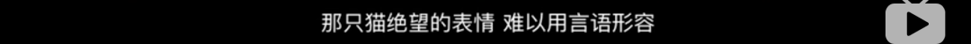 【英国】犯罪学家：变态连锁杀人犯虐待虐杀动物