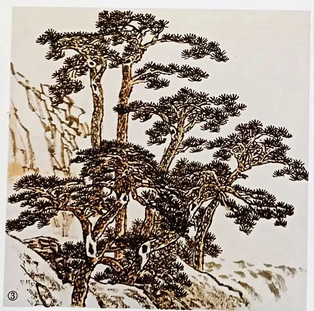 书画联盟丨国画图解: 松树的各种画法