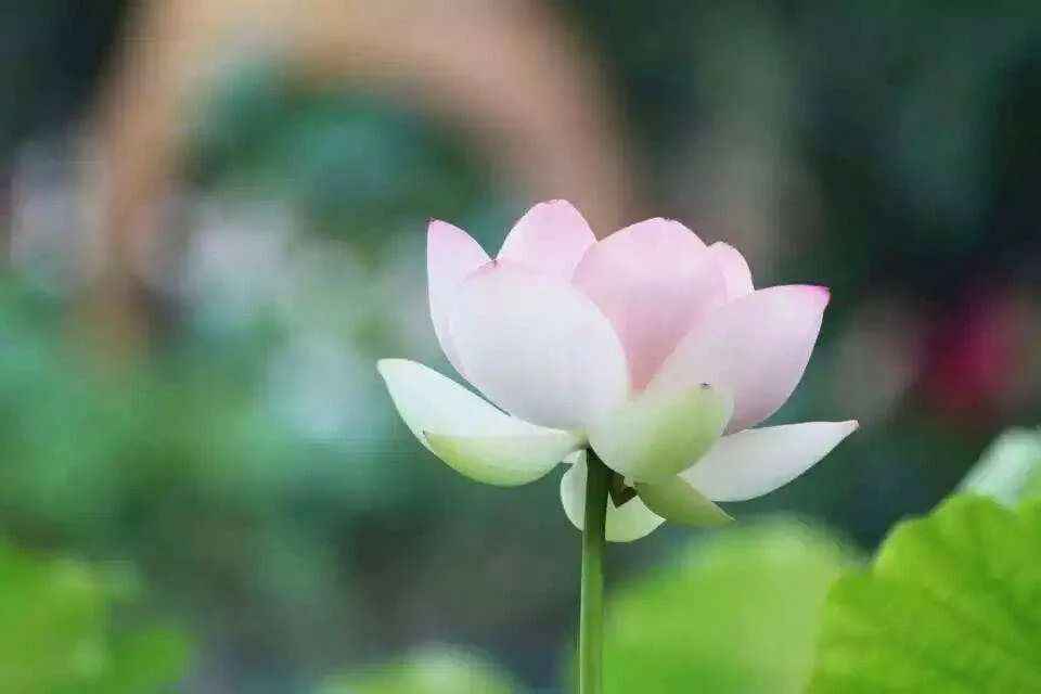 善行无声,善心如灯