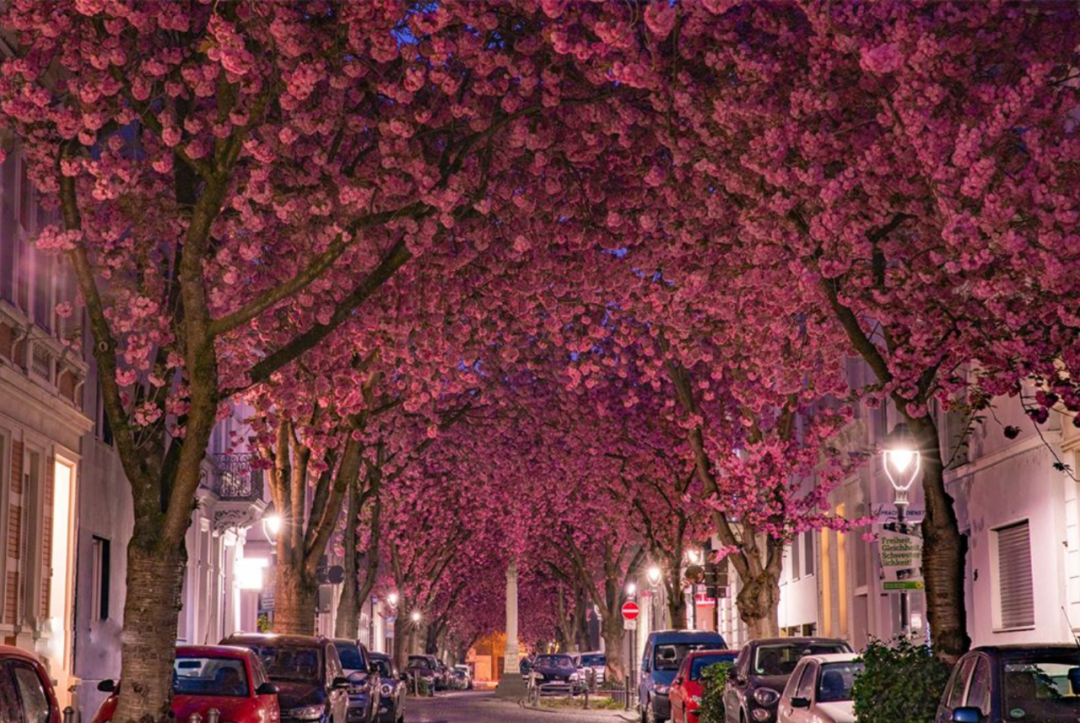 CNN评出世界最美街道,名列榜首的就在大中国