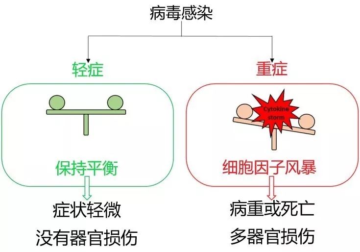 抵抗力强病情也会加重？可能因为细胞因子风暴