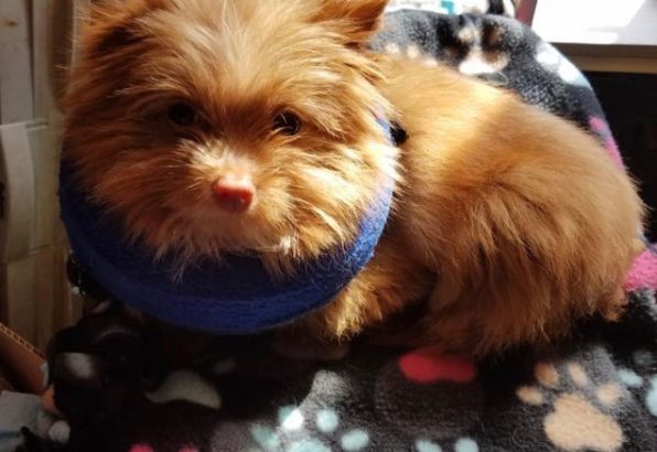 那天夜里，她闯进了陌生人的家……