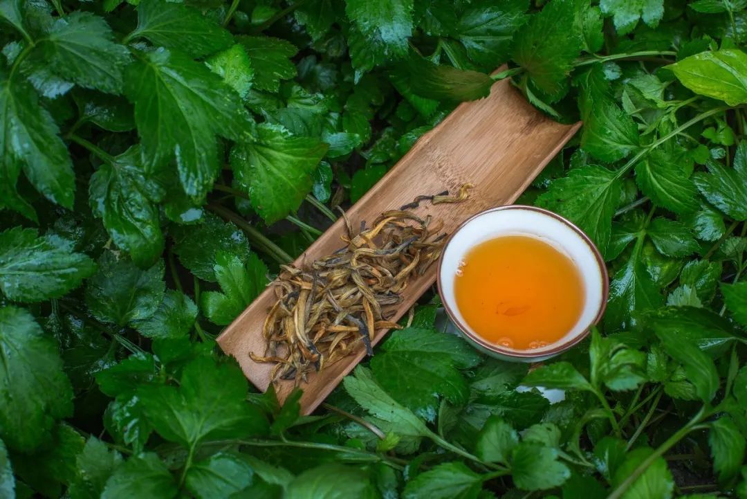 为什么中年人对各种茶欲罢不能