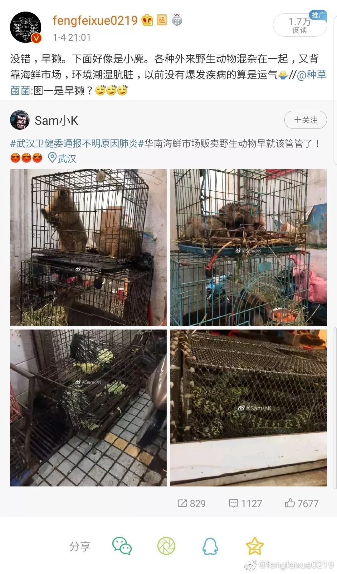 可爱的动物究竟送给人类多少“致命礼物”？