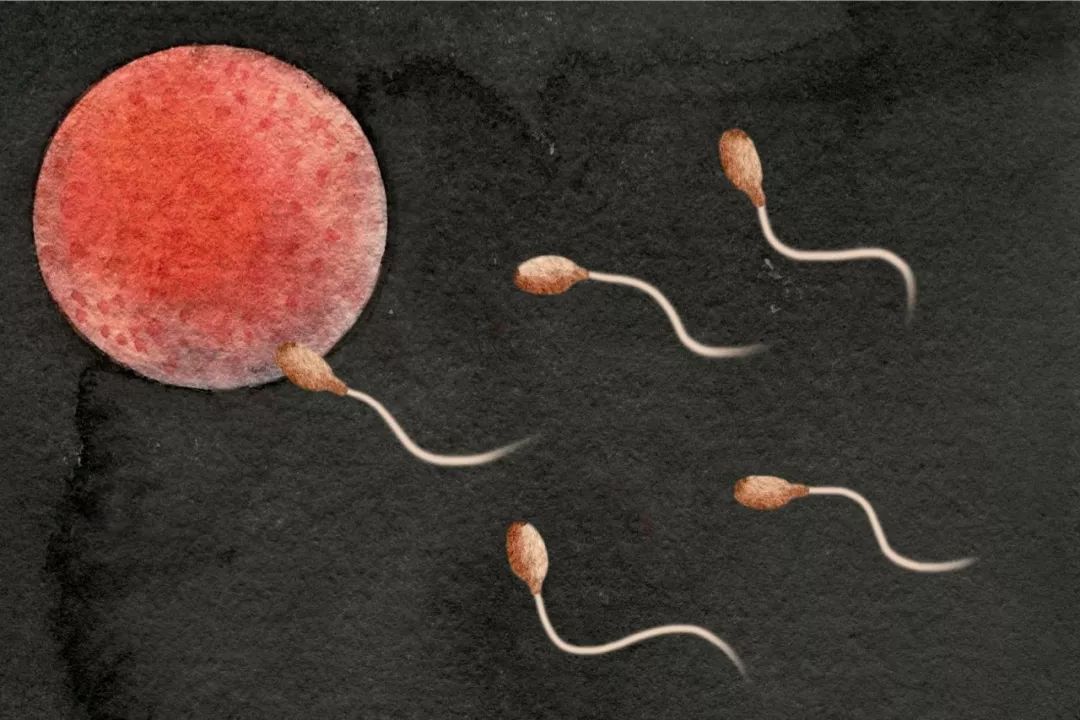 中国男女光棍超2亿,80%女性主动选择单身