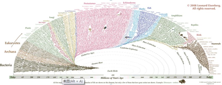 演化还是灭绝：第六次生物大灭绝开始了？