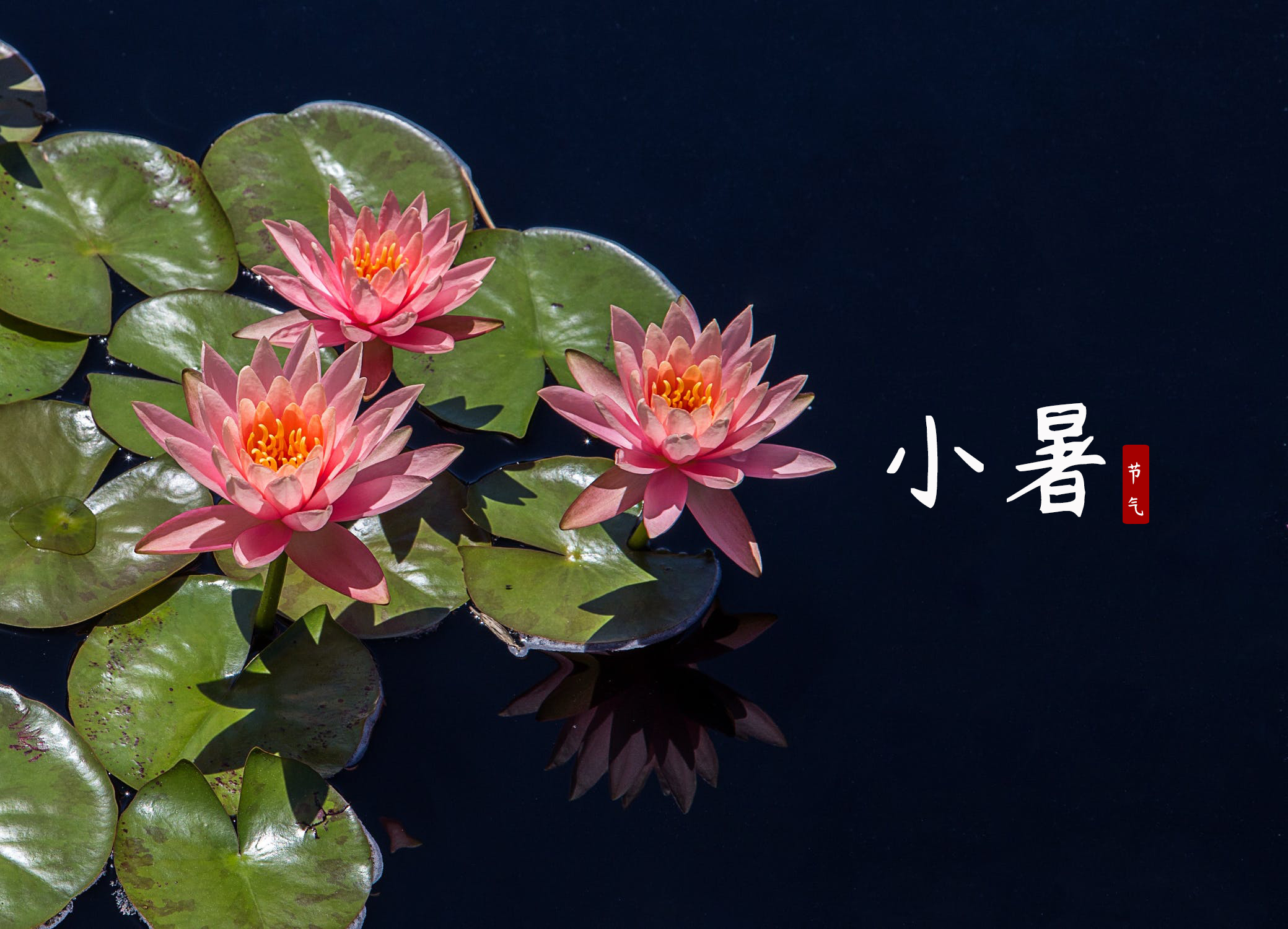 二十四节气|7月6日,小暑至__凤凰网