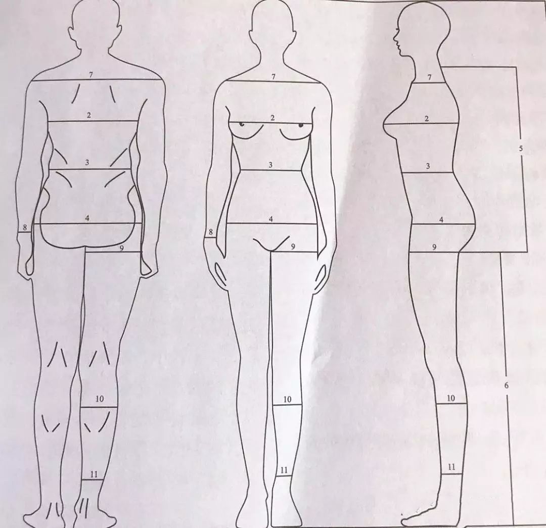 上身长:用皮尺从颈后第三颈椎点至臀位与大腿连接的最深臀位线垂直