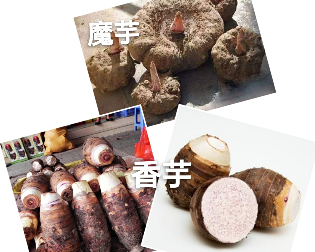 说好的零卡魔芋,怎么会越吃越胖呢?