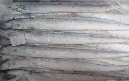 “家里蹲”期间实用囤肉指南