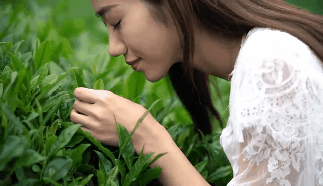 640_368 gif 动态图 动图